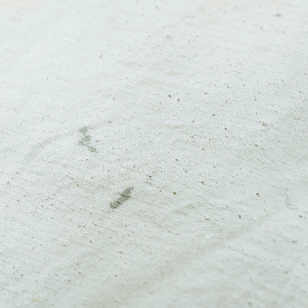 MADNESS RUSTIC DIRTY CHINO | MADNESS